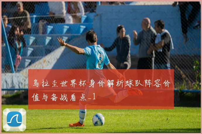 乌拉圭世界杯身价解析球队阵容价值与备战看点_1