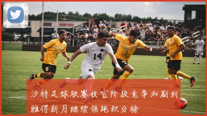 沙特足球联赛收官阶段竞争加剧利雅得新月继续领跑积分榜
