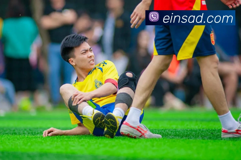 多媒体互动体验